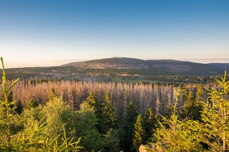 www.familien-ferienwohnung-braunlage.de - Ihre Familienferienwohnung und Kinderferienwohnung Waldzwerge und Waldwichtel, komfortabel, günstig und preiswert in Braunlage. Ihre Ferienwohnung im Harz. Kinderfreundlich und Familienfreundlich.